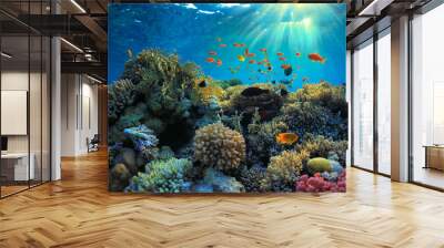 Underwater view Wall mural