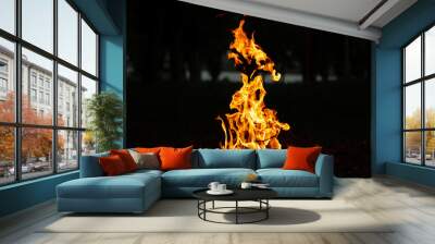 Open fire in the background of a dark forest. Fire. B-B-Q. Wall mural