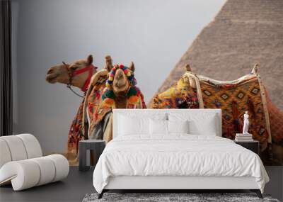 A scenic view of two camels in a desert with a pyramid in the background Wall mural