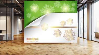 elegant winter background with snowflakes and place for text. ve Wall mural