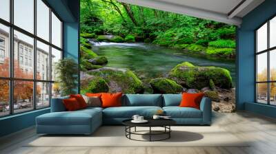 Peaceful Flow of Oirase River Surrounded by Lush Green Forest in Japan, Aomori, Japan Wall mural