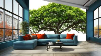 Green wide tree cut out
 Wall mural