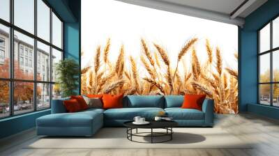 PNG Wheat landscape wheat agriculture backgrounds.
 Wall mural