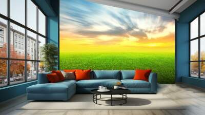 Field of green grass and sky Wall mural