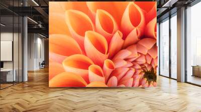 orange flower petals, close up and macro of chrysanthemum, beautiful abstract background Wall mural