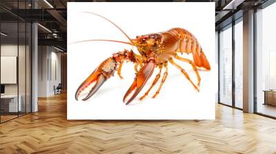 Red cooked crayfish or crab isolated on white background with clipping path Wall mural