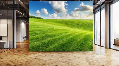 Beautiful natural scenic panorama green field of cut grass into and blue sky with clouds Wall mural