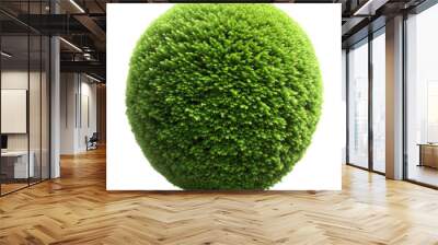 green garden bush round shape on white background Wall mural