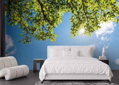 green leaves against blue sky Wall mural