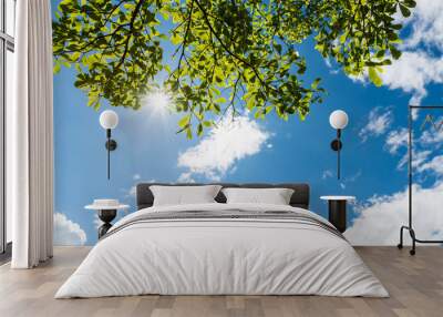 Green leaves against blue sky Wall mural