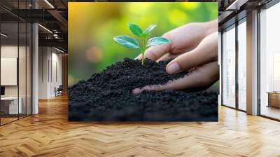 A person is holding a small plant in their hand. The plant is growing in a pot of dirt Wall mural