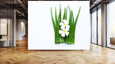 Aloe vera is a popular medicinal plant for health and beauty, with Plumeria flower on white Wall mural