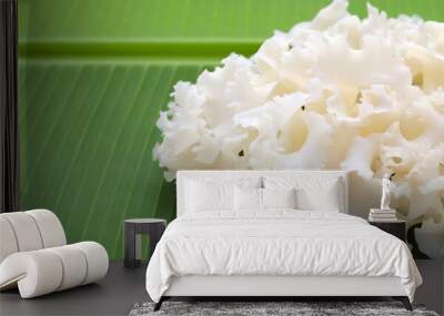 Cauliflower mushroom or cauliflower fungus Wall mural