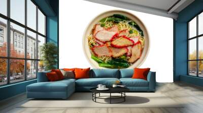 Chinese egg noodles with red pork in hot soup Wall mural