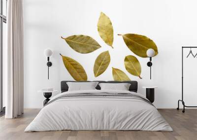 Dried bay leaves on white background. Wall mural