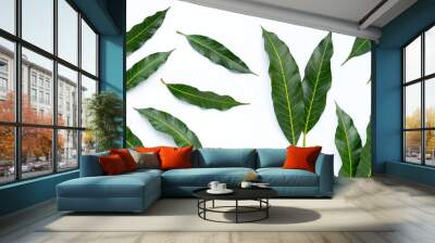 Mango  leaves on white background. Wall mural