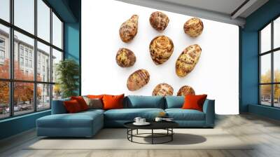 Satoimo, taro roots or japanese sweet taro Wall mural