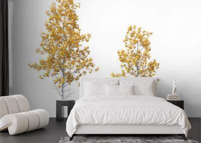 Populus tremuloides, quaking aspen, trembling aspen, American aspen, trembling poplar, white poplar, popple, golden aspen, mountain aspen, light for daylight, easy to use, 3d render, isolated Wall mural