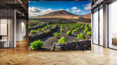 Vineyards and stone fences in La Geria Lanzarote Canary Islands Spain AI Generative Wall mural