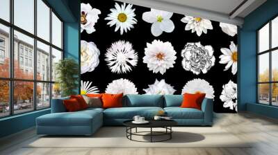 Mix collage of natural tender white flowers 15 in 1: peony, dahlia, roses, flax flower, pelargonium, gerbera, chrysanthemum, cornflower and daisy flower isolated on black Wall mural