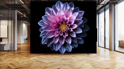 Surreal dark chrome pink and purple flower dahlia macro isolated on black Wall mural