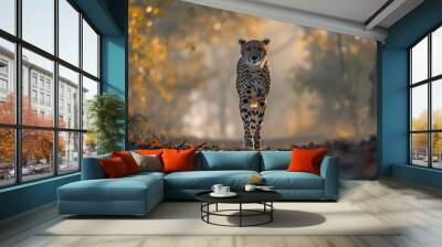 portrait of a cheetah standing in the middle of a misty forest as morning light filters through the  Wall mural