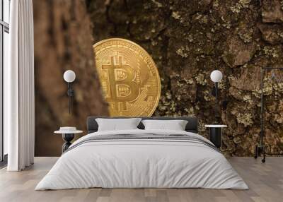 Cryptocurrency metal coin located on a tree branch Wall mural