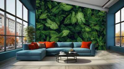 Green leaf texture. Leaf texture background Wall mural