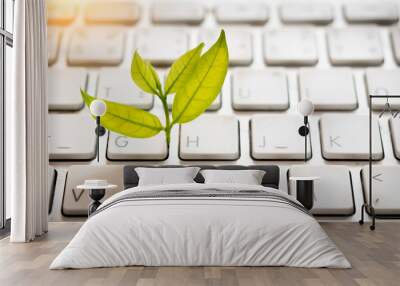 Leaves nature and keyboard.Small green plant growing from white computer keyboard.Technology with nature concept Wall mural