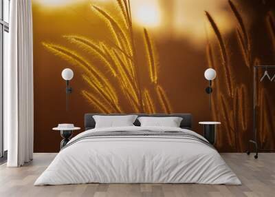 Silhouette of meadow field with sunlight in summer season. Beautiful of grass flower at sunset Wall mural