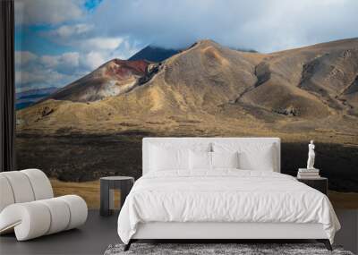 the volcanic landscape of lava flow erupted from the red crater in tongariro national park of new ze Wall mural