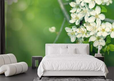 spring flowers Wall mural