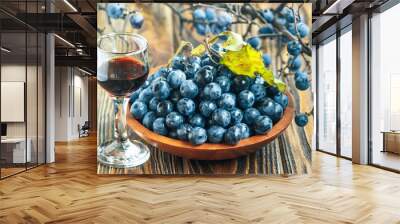 Sloe gin. Glass of blackthorn homemade light sweet reddish-brown liquid. Sloe-flavoured liqueur or wine decorated with fresh juicy ripe prunus spinosa berries on wooden background. Selective focus Wall mural