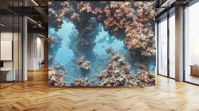 Underwater colorful coral reef ecosystem, blue clear ocean, 3d render Wall mural