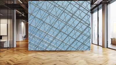  Indoor metal mesh transparent glass roof sky background Wall mural