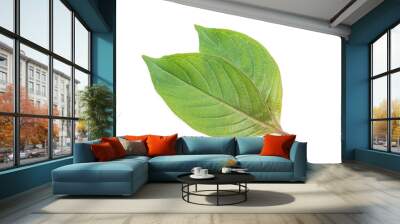 2 beautiful herbs leaves closeup Wall mural