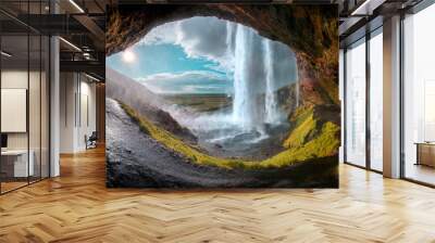 Eye of the waterfall Wall mural