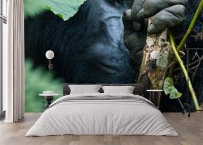 Gorilla Wall mural