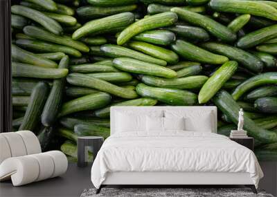 Fresh organic Persian cucumbers crowd a bin at an outdoor farmers market with healthy, natural vegetarian food Wall mural