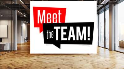 Meet the team ! Wall mural