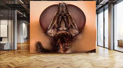 fly portrait with extreme macro photography Wall mural