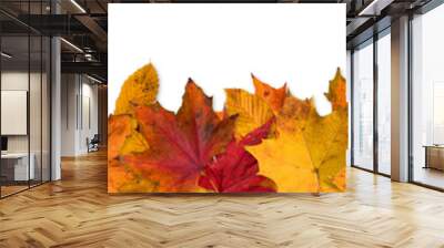 Autumn leaves border Wall mural