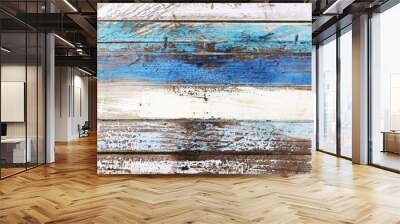 Drift wood in nautical colors Wall mural