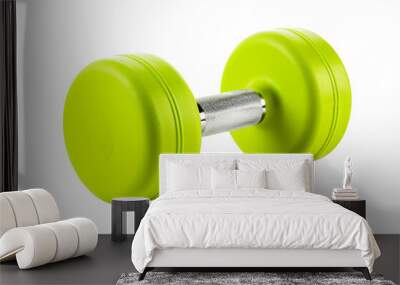 Isolated gym dumbell Wall mural