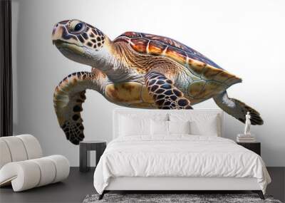 Isolated sea turtle Wall mural