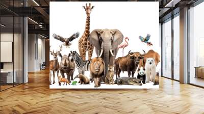 Zoo animals on white background Wall mural