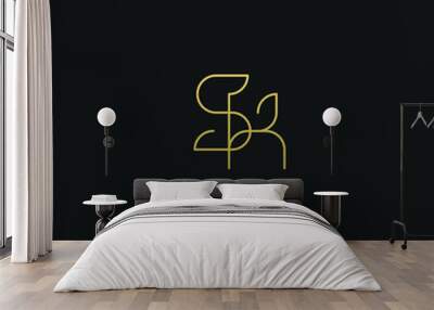 Creative modern elegant trendy unique artistic SK KS S K initial based letter icon logo. Wall mural