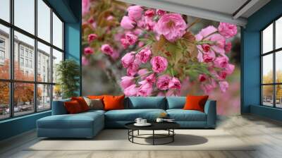 pink flowers Wall mural