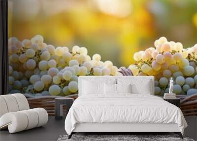 Baskets filled with freshly harvested grapes in a vineyard during sunset Wall mural