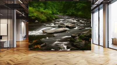 stream in the forest Wall mural